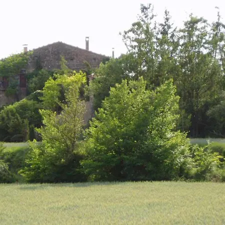 El Torrent